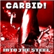 Carbid! - Into The Steel